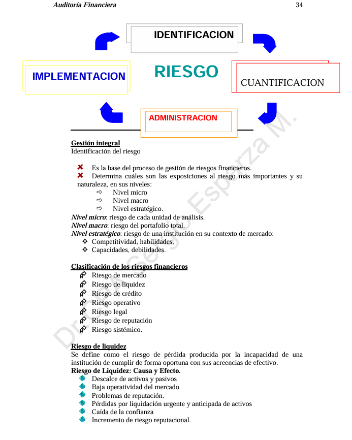 Auditoria Financiera- PDF
