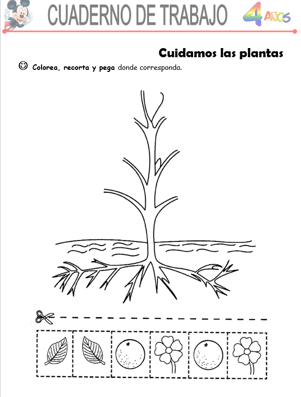 Ciencia y Ambiente, Niños de 4 Años - Word