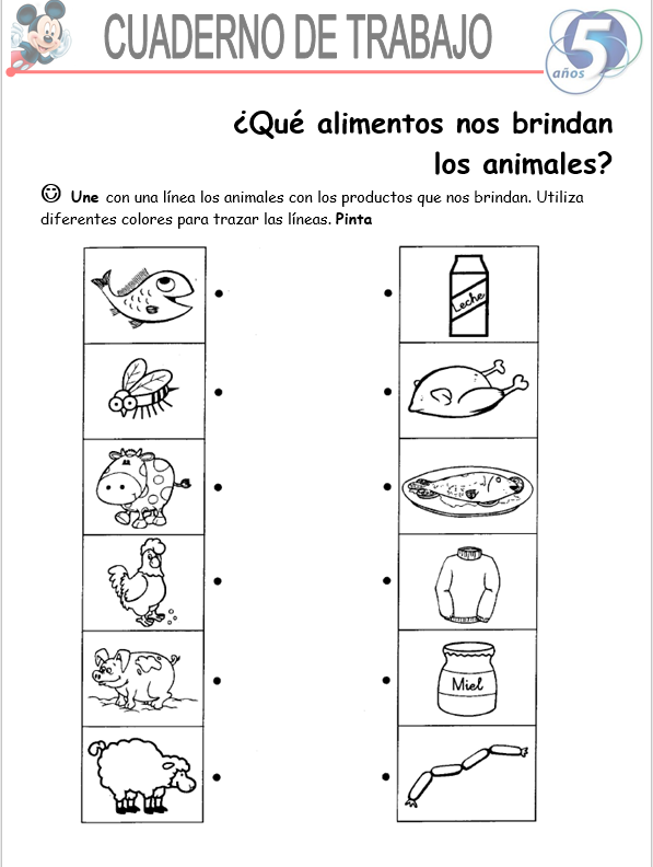 Ciencias Y Ambientes, Niño De 5 Años- Word