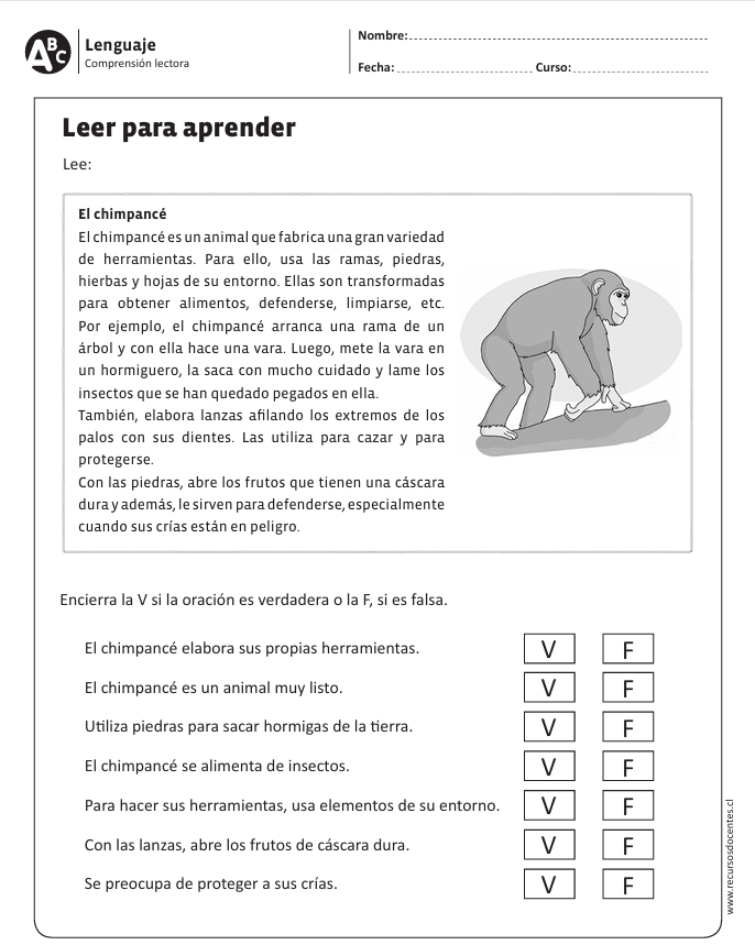 Lenguaje, Primero Básico - PDF
