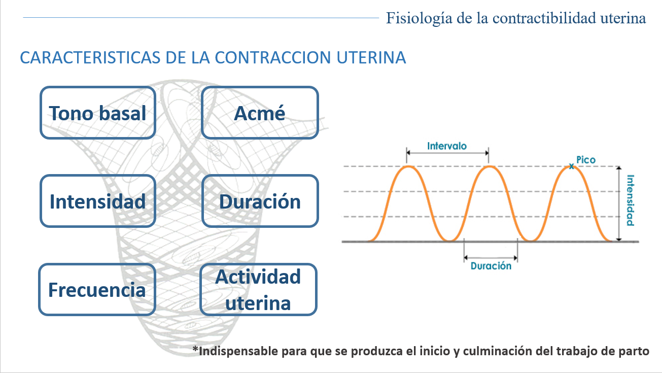 Fisiología De Contractibilidad Uterina - PPT