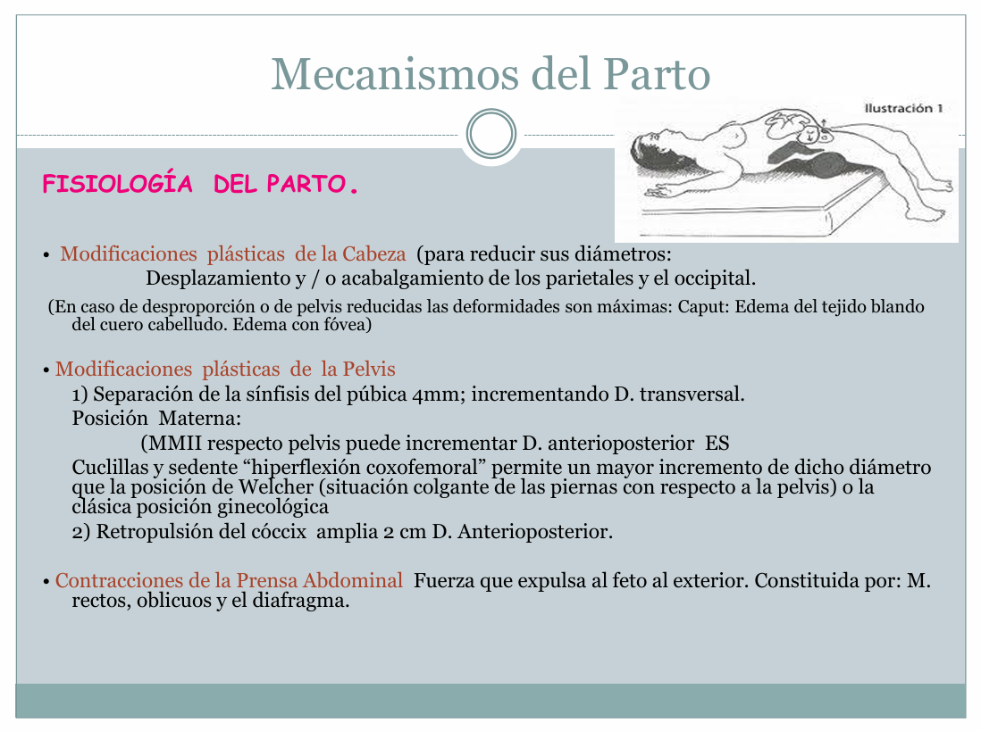 Mecanismo De Parto Expulsivo - PDF