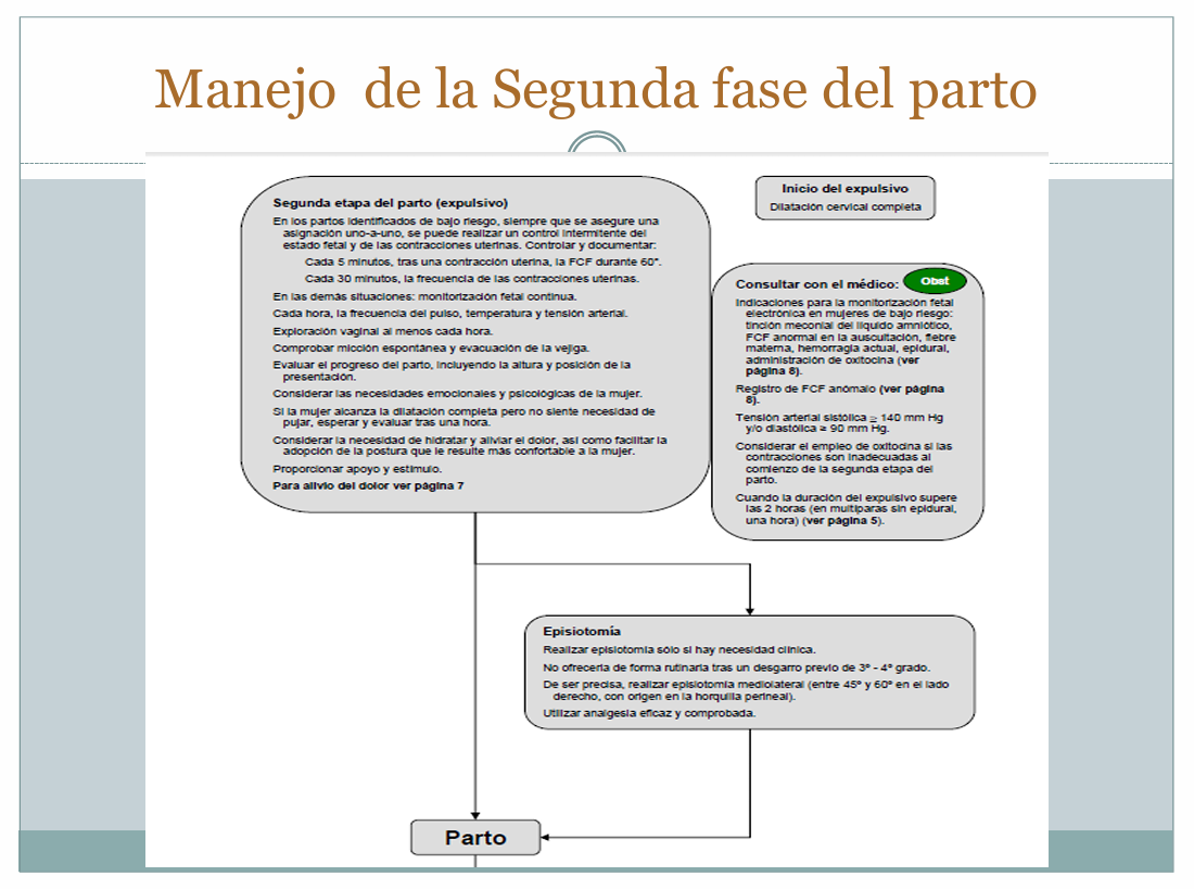 Mecanismo De Parto Expulsivo - PDF