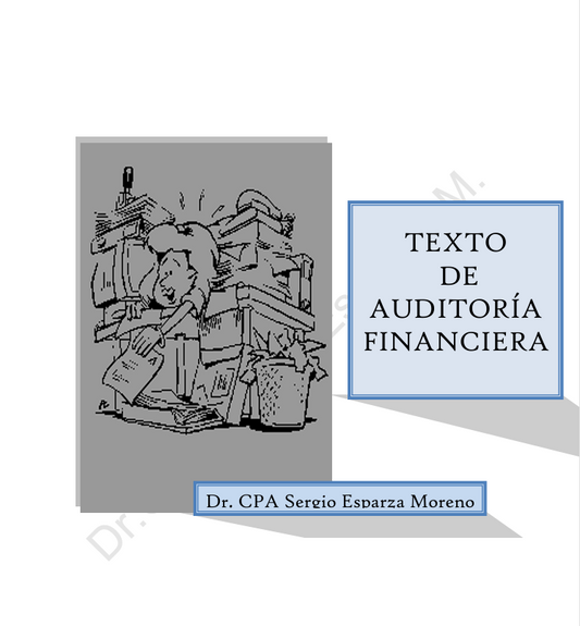 Auditoria Financiera- PDF
