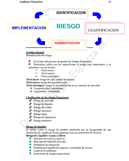Auditoria Financiera- PDF
