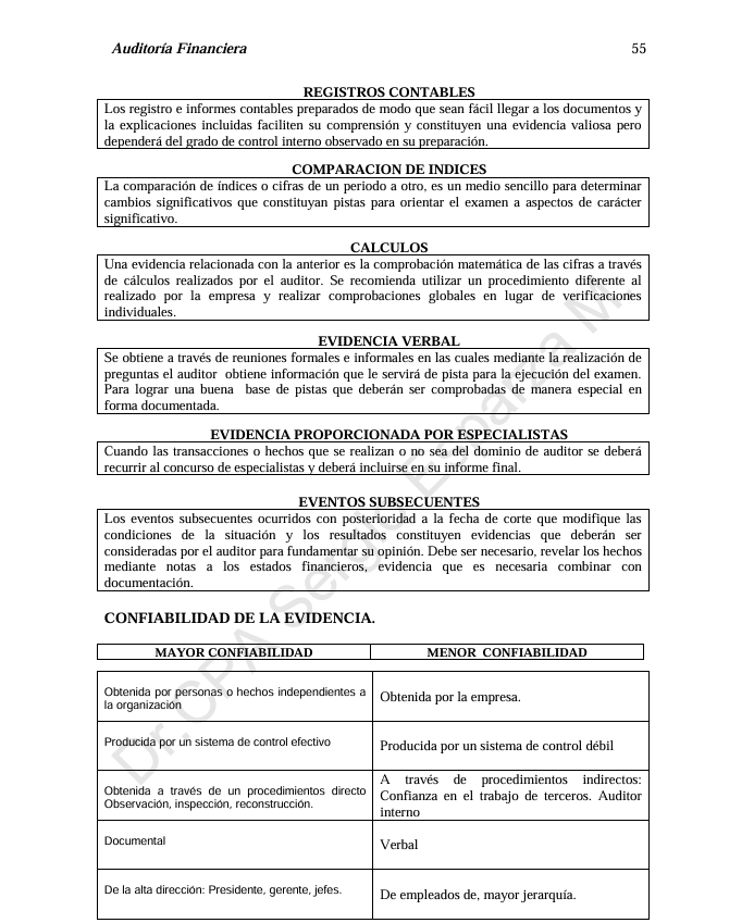 Auditoria Financiera- PDF