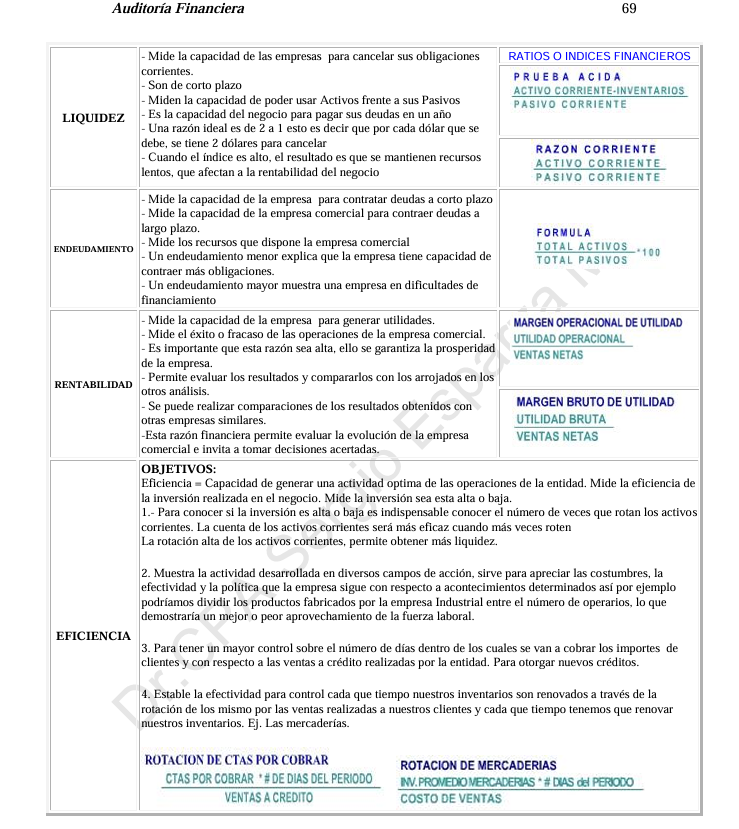 Auditoria Financiera- PDF