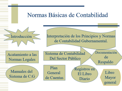 Contabilidad Gubernamental - PPT