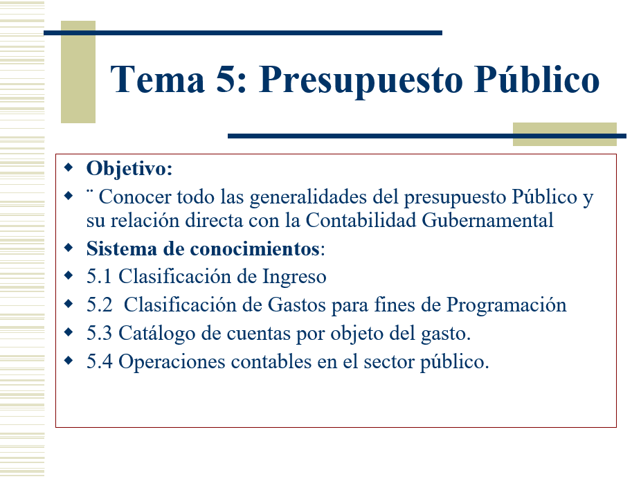 Contabilidad Gubernamental - PPT