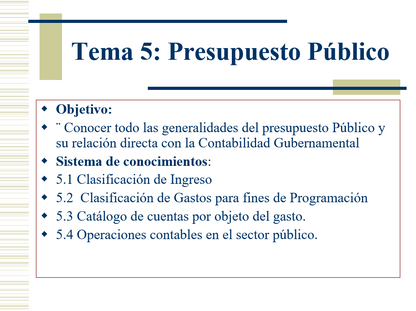 Contabilidad Gubernamental - PPT