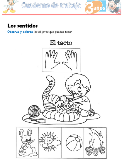 Ciencia Y Ambiente, Niño de 3 Años - Word