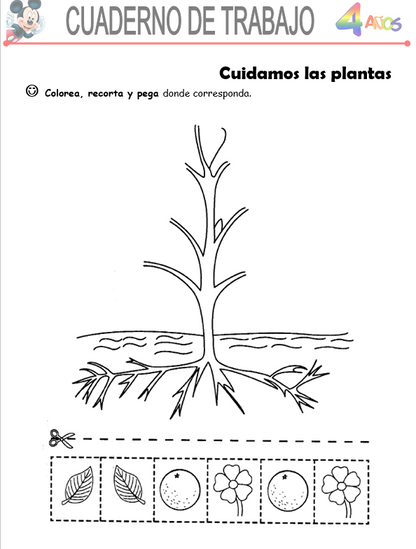 Ciencia y Ambiente, Niños de 4 Años - Word
