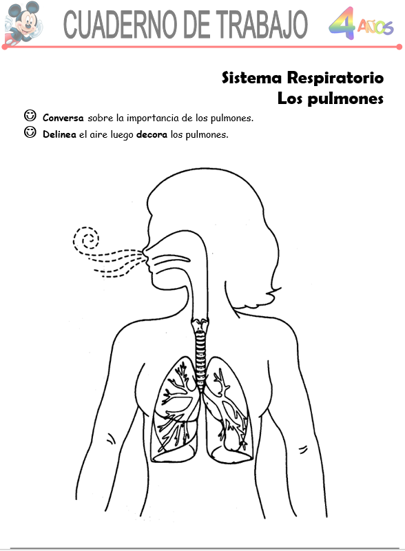 Ciencia y Ambiente, Niños de 4 Años - Word