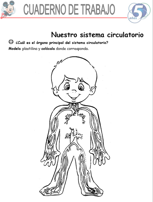 Ciencias Y Ambientes, Niño De 5 Años- Word