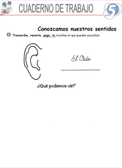 Ciencias Y Ambientes, Niño De 5 Años- Word