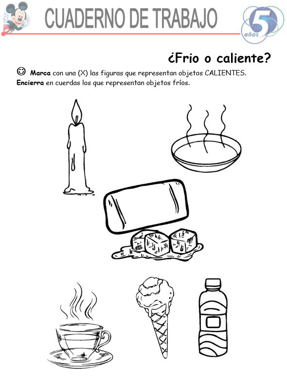 Ciencias Y Ambientes, Niño De 5 Años- Word
