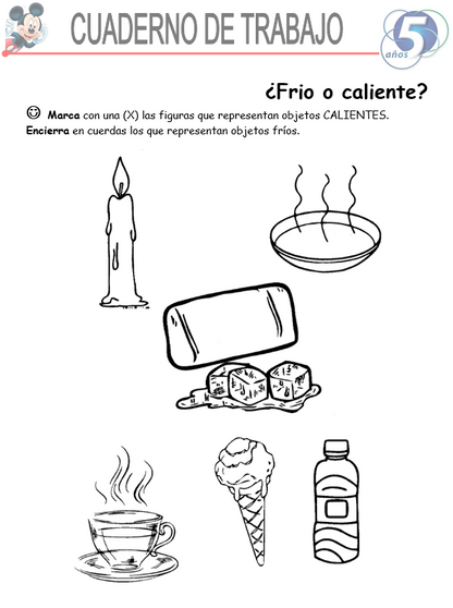 Ciencias Y Ambientes, Niño De 5 Años- Word