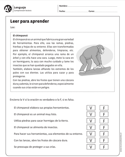 Lenguaje, Primero Básico - PDF