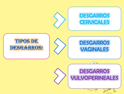 Desgarro Perineal, Cervical y vaginal - PPT