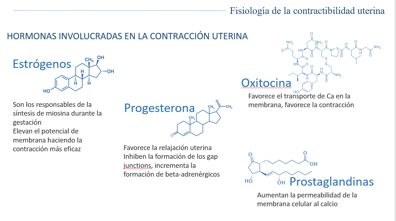Fisiología De Contractibilidad Uterina - PPT