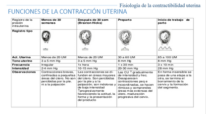Fisiología De Contractibilidad Uterina - PPT