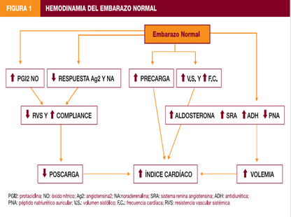 Hipertensión Inducida Por El Embarazo - PPT