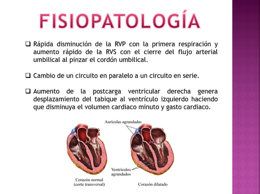 Hipertensión Pulmonar Persistente Del Recién Nacido - PPT
