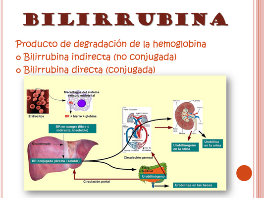 Ictericia Neonatal - PPT