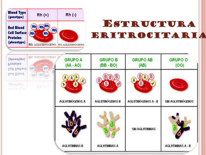 Ictericia Neonatal - PPT