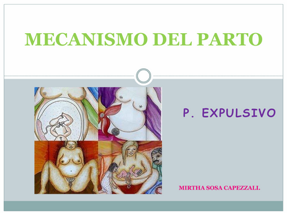 Mecanismo De Parto Expulsivo - PDF