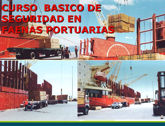 Seguridad En Faenas Portuarias - PPT
