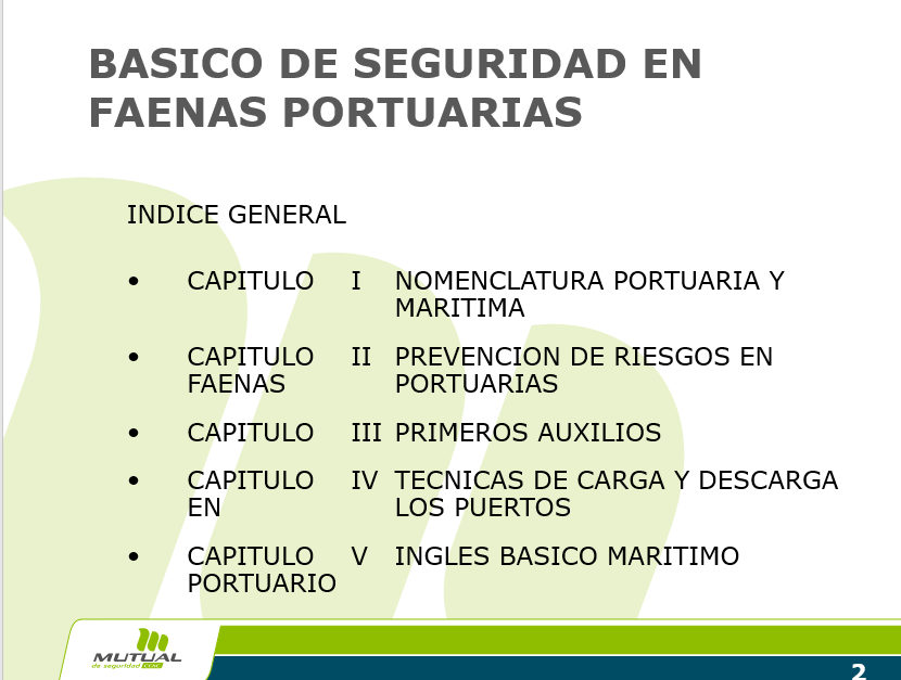 Seguridad En Faenas Portuarias - PPT
