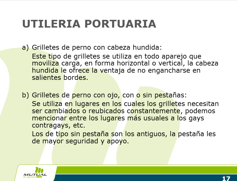 Seguridad En Faenas Portuarias - PPT