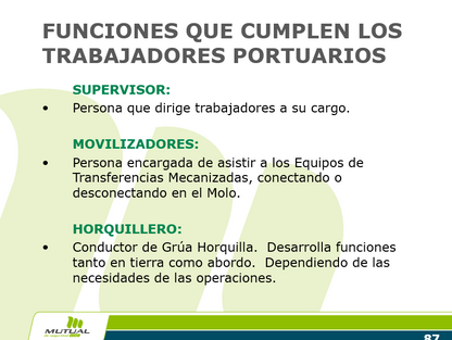 Seguridad En Faenas Portuarias - PPT